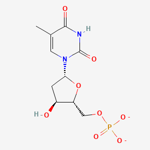 molecular formula C10H13N2O8P-2 B1632041 Thymidine 5'-monophosphate 