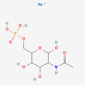 molecular formula C8H16NNaO9P B1632049 N-Acetyl-D-glucosamine 6-phosphate sodium salt 
