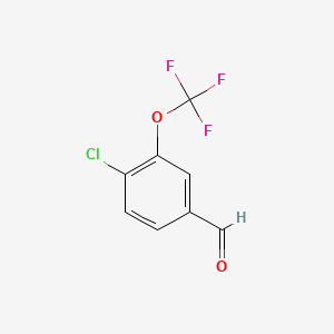 molecular formula C8H4ClF3O2 B1632087 4-Chloro-3-(trifluoromethoxy)benzaldehyde CAS No. 886499-59-8