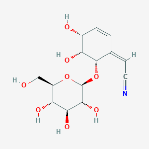 molecular formula C14H19NO8 B1632119 (2Z)-2-[(4R,5R,6S)-4,5-dihydroxy-6-[(2R,3R,4S,5S,6R)-3,4,5-trihydroxy-6-(hydroxymethyl)oxan-2-yl]oxycyclohex-2-en-1-ylidene]acetonitrile 