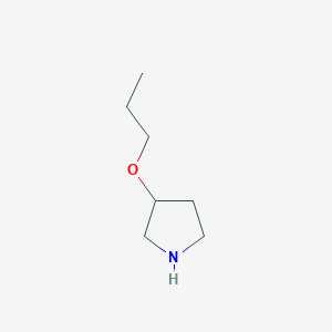 molecular formula C7H15NO B1632303 3-丙氧基吡咯烷 CAS No. 946681-61-4