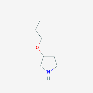 molecular formula C7H15NO B1632303 3-Propoxypyrrolidin CAS No. 946681-61-4