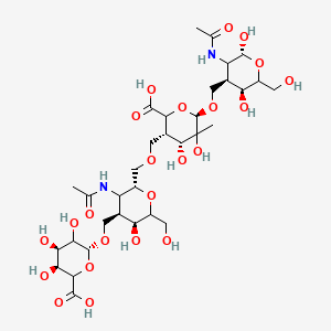 molecular formula C33H54N2O23 B1632593 (3S,4R,6R)-3-[[(2R,4R,5S)-3-acetamido-4-[[(2R,4R,5S)-6-carboxy-3,4,5-trihydroxyoxan-2-yl]oxymethyl]-5-hydroxy-6-(hydroxymethyl)oxan-2-yl]methoxymethyl]-6-[[(2R,4R,5S)-3-acetamido-2,5-dihydroxy-6-(hydroxymethyl)oxan-4-yl]methoxy]-4,5-dihydroxy-5-methyloxane-2-carboxylic acid 