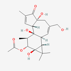 molecular formula C22H30O7 B1633757 Phorbol 12-acetate 