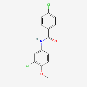 molecular formula C14H11Cl2NO2 B1634495 4-chloro-N-(3-chloro-4-methoxyphenyl)benzamide 