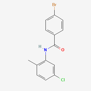 molecular formula C14H11BrClNO B1634721 4-bromo-N-(5-chloro-2-methylphenyl)benzamide 