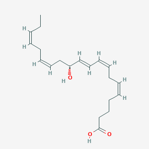 molecular formula C20H30O3 B163515 12-Hydroxyeicosapentaenoic acid, (12R)- CAS No. 109430-12-8