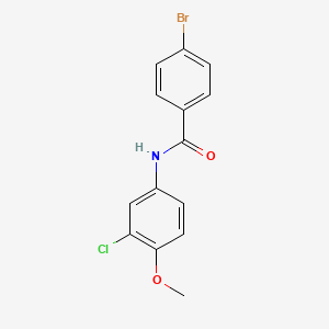 molecular formula C14H11BrClNO2 B1635299 4-bromo-N-(3-chloro-4-methoxyphenyl)benzamide 