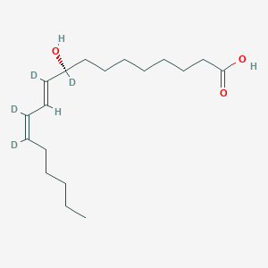 molecular formula C18H28D4O3 B163558 (9S,10E,12Z)-9,10,12,13-tetradeuterio-9-hydroxyoctadeca-10,12-dienoic acid CAS No. 890955-25-6