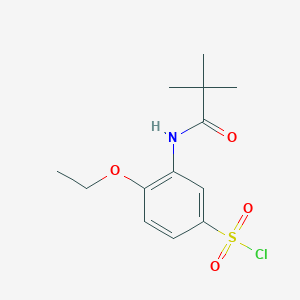 molecular formula C13H18ClNO4S B1636057 4-Ethoxy-3-pivalamidobenzene-1-sulfonyl chloride 