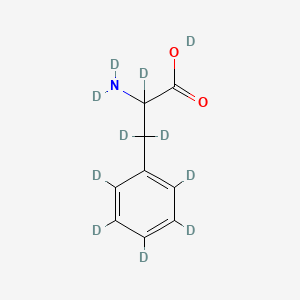 molecular formula C9H11NO2 B1636147 Deuterio 2,3,3-trideuterio-2-(dideuterioamino)-3-(2,3,4,5,6-pentadeuteriophenyl)propanoate 