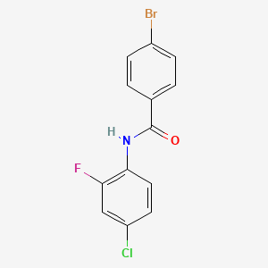 molecular formula C13H8BrClFNO B1636411 4-bromo-N-(4-chloro-2-fluorophenyl)benzamide 