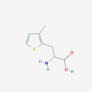 molecular formula C8H11NO2S B1636413 2-amino-3-(3-methylthiophen-2-yl)propanoic Acid CAS No. 603940-93-8