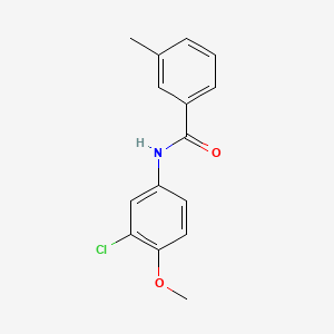 molecular formula C15H14ClNO2 B1636528 N-(3-chloro-4-methoxyphenyl)-3-methylbenzamide 