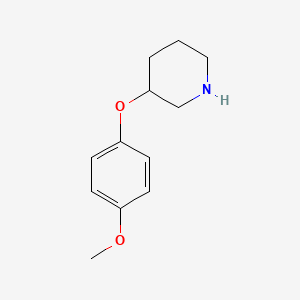 molecular formula C12H17NO2 B1636810 3-(4-Methoxyphenoxy)piperidine 