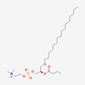 molecular formula C28H58NO7P B163694 1-十六烷基-2-丁酰基-sn-甘油-3-磷酸胆碱 CAS No. 85405-03-4