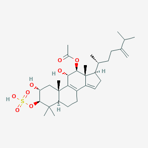 B163716 [(2R,3R,5R,10S,11S,12S,13R,17R)-2,11-dihydroxy-4,4,10,13-tetramethyl-17-[(2R)-6-methyl-5-methylideneheptan-2-yl]-3-sulfooxy-1,2,3,5,6,7,11,12,16,17-decahydrocyclopenta[a]phenanthren-12-yl] acetate CAS No. 131319-90-9