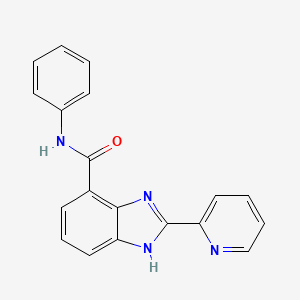 molecular formula C19H14N4O B1637671 N-phenyl-2-pyridin-2-yl-1H-benzimidazole-4-carboxamide 