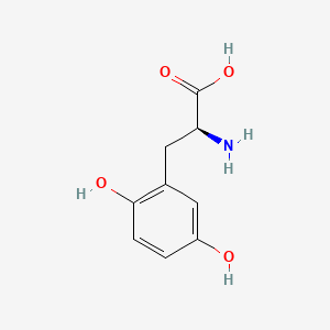 molecular formula C9H11NO4 B1637977 (S)-2-Amino-3-(2,5-dihydroxyphenyl)propanoic acid CAS No. 582-32-1