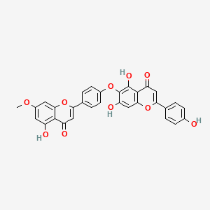 molecular formula C31H20O10 B1638174 新隐球菌素 