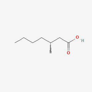molecular formula C8H16O2 B1638176 (R)-3-Methylheptanoic acid 