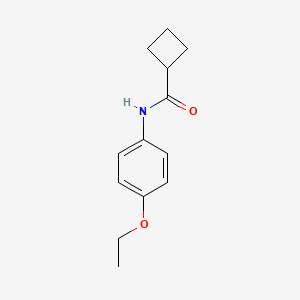 molecular formula C13H17NO2 B1638530 N-(4-ethoxyphenyl)cyclobutanecarboxamide 