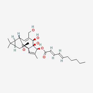 molecular formula C30H42O6 B1638810 [(1S,4S,5S,6R,9S,10R,12R,14R)-5,6-Dihydroxy-7-(hydroxymethyl)-3,11,11,14-tetramethyl-15-oxo-4-tetracyclo[7.5.1.01,5.010,12]pentadeca-2,7-dienyl] (2E,4E)-deca-2,4-dienoate CAS No. 466663-11-6