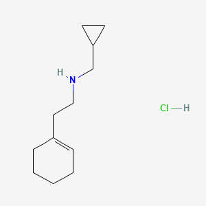 molecular formula C12H22ClN B1640146 2-(1-Cyclohexen-1-YL)-N-(cyclopropylmethyl)-1-ethanamine hydrochloride CAS No. 1048640-45-4