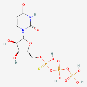 molecular formula C9H15N2O14P3S B1640537 [[(2R,3S,4R,5R)-5-(2,4-dioxopyrimidin-1-yl)-3,4-dihydroxyoxolan-2-yl]methoxy-hydroxyphosphinothioyl] phosphono hydrogen phosphate 