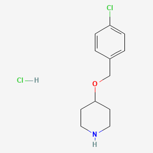 molecular formula C12H17Cl2NO B1642181 4-[(4-氯苄基)氧基]哌啶盐酸盐 CAS No. 86810-95-9