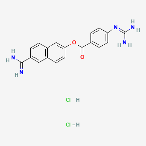 molecular formula C19H19Cl2N5O2 B1642477 Nafamostat (hydrochloride) 