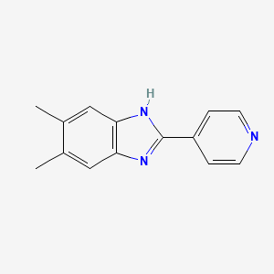 molecular formula C14H13N3 B1643100 5,6-Dimethyl-2-(pyridin-4-yl)-1H-benzo[d]imidazol CAS No. 64263-00-9