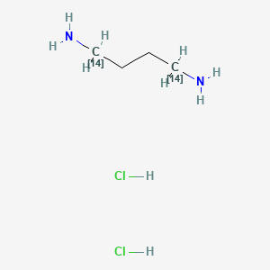 Putrecine-1,4-14C dihydrochloride