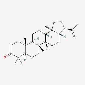 molecular formula C30H48O B1643617 17beta(H),21beta(H)-HOP-22(29)-EN-3-ONE 