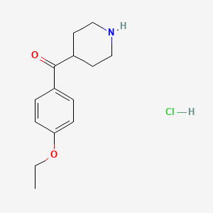 molecular formula C14H20ClNO2 B1644221 (4-Ethoxyphenyl)(piperidin-4-yl)methanone hydrochloride CAS No. 1158249-49-0