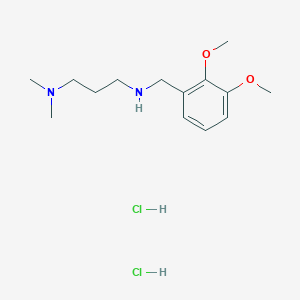 molecular formula C14H26Cl2N2O2 B1644223 [(2,3-Diméthoxyphényl)méthyl][3-(diméthylamino)propyl]amine dihydrochlorure CAS No. 1158577-04-8