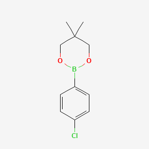 molecular formula C11H14BClO2 B1644645 4-(5,5-Dimethyl-1,3,2-dioxaborinan-2-yl)chlorobenzene 