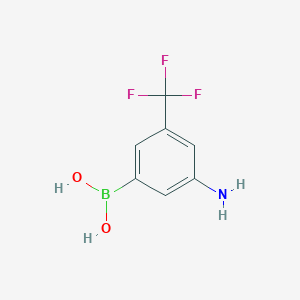 molecular formula C7H7BF3NO2 B1644815 [3-Amino-5-(trifluoromethyl)phenyl]boronic acid 
