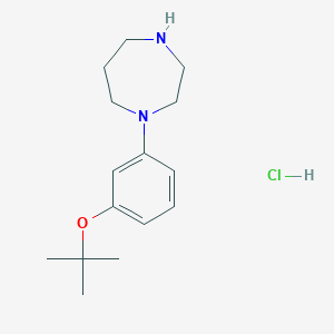 molecular formula C15H25ClN2O B1645113 1-(3-tert-Butoxyphenyl)homopiperazine monohydrochloride 