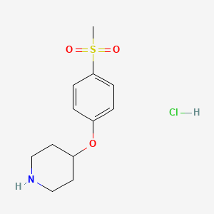 molecular formula C12H18ClNO3S B1645340 4-[4-(Methylsulfonyl)phenoxy]piperidine hydrochloride 