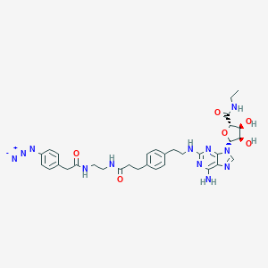 B164625 2-(4-(2-(2-((4-Azidophenyl)methylcarbonylamino)ethylaminocarbonyl)ethyl)phenyl)ethylamino-5'-N-ethylcarboxamidoadenosine CAS No. 129932-69-0