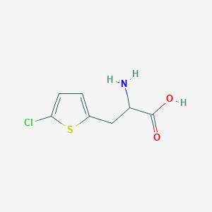 molecular formula C7H8ClNO2S B1647239 3-(5-Chlorothien-2-yl)-DL-alanine CAS No. 68056-35-9