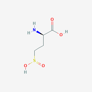 molecular formula C4H9NO4S B1647909 D-Homocysteinesulfinic acid 
