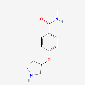 molecular formula C12H16N2O2 B1647955 N-Methyl-4-(pyrrolidin-3-yloxy)benzamide 