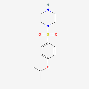 molecular formula C13H20N2O3S B1648096 1-[[4-(1-methylethoxy)phenyl]sulfonyl]Piperazine 