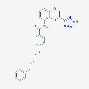 B164810 4-(4-phenylbutoxy)-N-[3-(2H-tetrazol-5-yl)-2,3-dihydro-1,4-benzodioxin-5-yl]benzamide CAS No. 135556-20-6