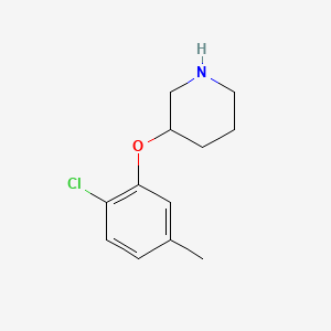 molecular formula C12H16ClNO B1648662 3-(2-氯-5-甲基苯氧基)哌啶 CAS No. 902837-30-3