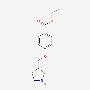 molecular formula C14H19NO3 B1648823 Ethyl 4-(pyrrolidin-3-ylmethoxy)benzoate 