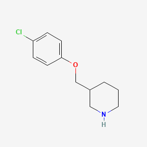 molecular formula C12H16ClNO B1648939 3-[(4-Chlorophenoxy)methyl]piperidine 