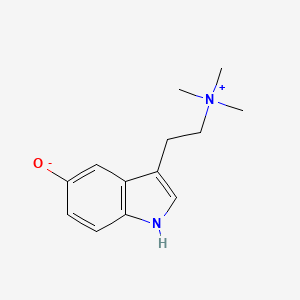 B1649353 Bufotenidine CAS No. 487-91-2
